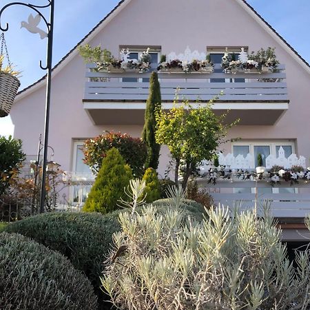 Gite Riquewihr "C'Est Beau La Vie Alsace" Zewnętrze zdjęcie