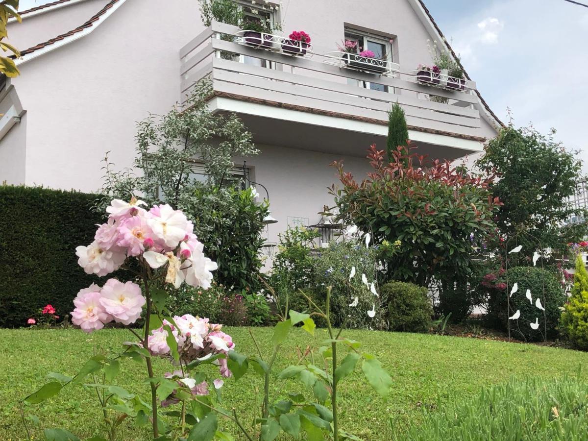 Gite Riquewihr "C'Est Beau La Vie Alsace" Zewnętrze zdjęcie