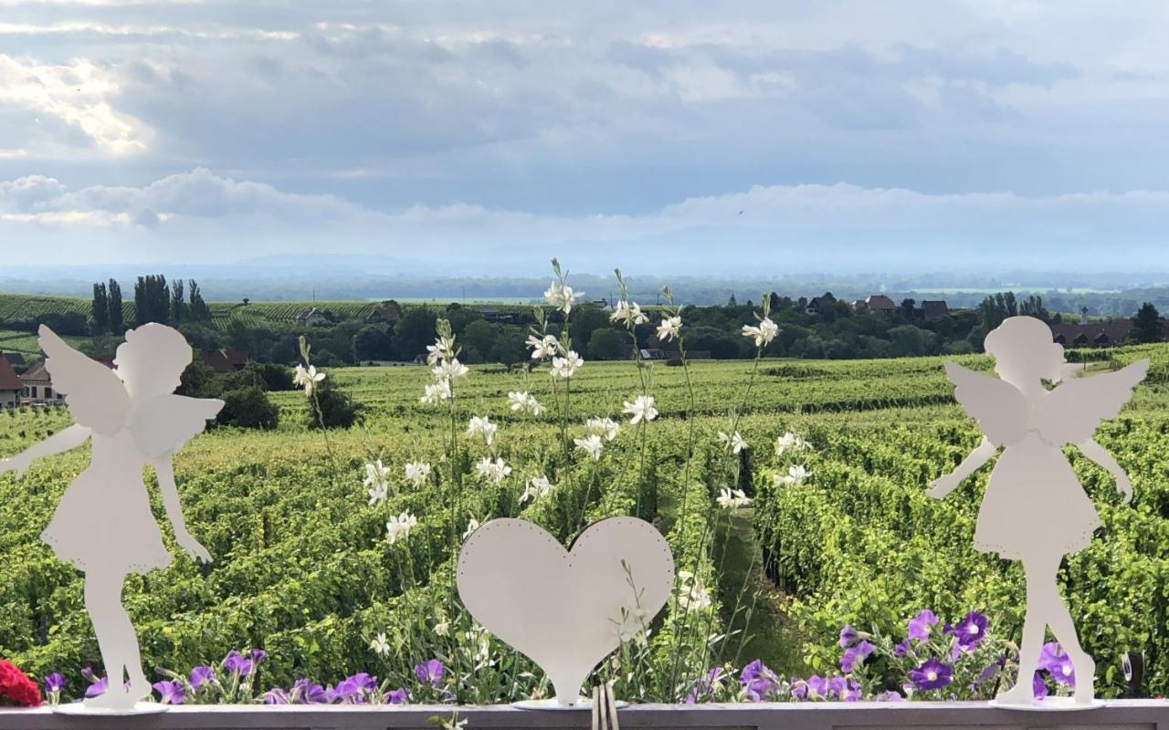 Gite Riquewihr "C'Est Beau La Vie Alsace" Zewnętrze zdjęcie