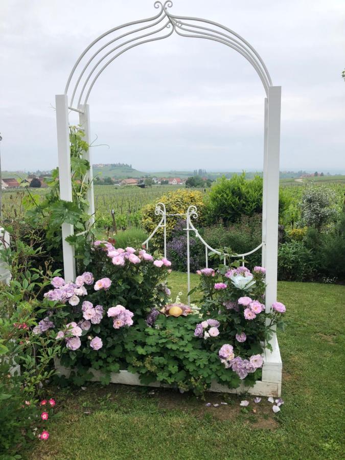 Gite Riquewihr "C'Est Beau La Vie Alsace" Zewnętrze zdjęcie